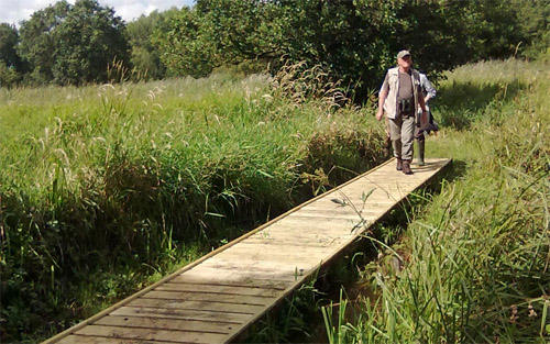 A new section of boardwalk installed on Whitwell Common