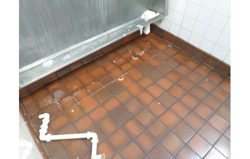 Photos: Reepham Town Council