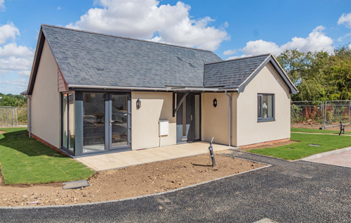 Photo: William H Brown