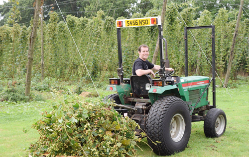 Assistant brewer Tom Barker in the hop garden