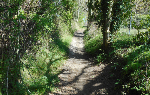 This ancient track at the end of Broomhill Lane is under threat, says Realistic Reepham.