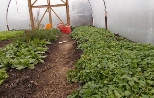 Photos: Karen Brockman