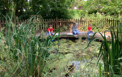 The wildlife garden at Reepham Primary School.