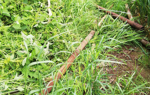 Photos: Helen Lindsay