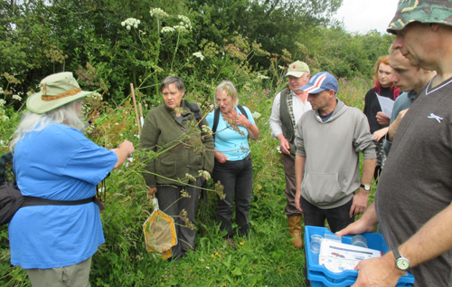 Dragonfly identification at Mayfields Farm, Themelthorpe