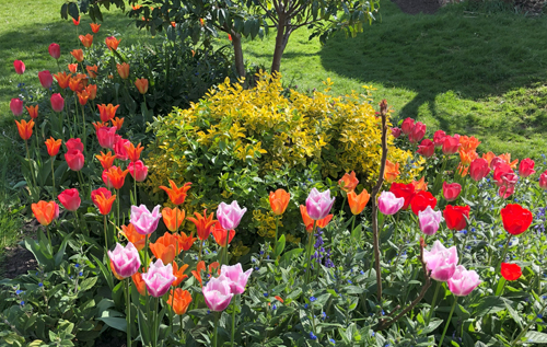 Photo: Bircham Centre