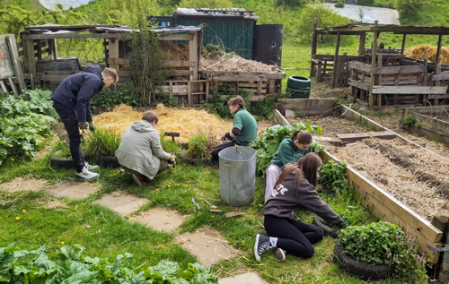 Reepham High School allotment. Photos: The Papillon Project