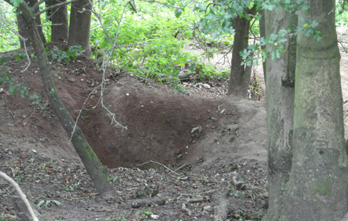 Active badger sett on Marriott's Way. Photo: submitted