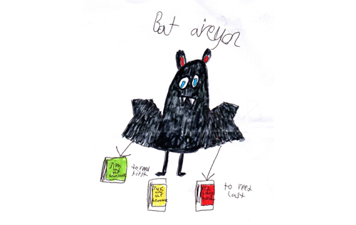 The winning bat picture by Alfie B. Photo supplied by the Bircham Centre