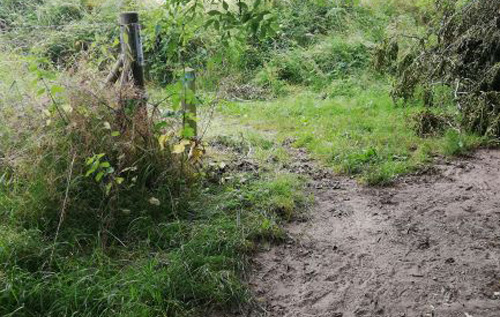 The blind corner at the bottom of Broomhill Lane. Photo: Helen Lindsay
