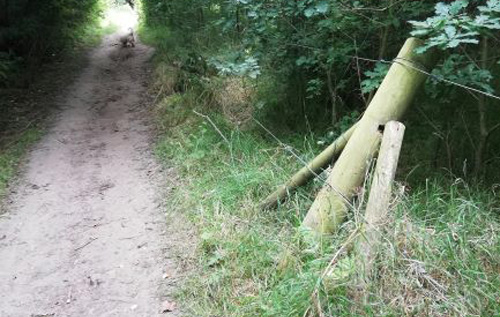 Damaged fence posts on the unclassified road that extends from Whitwell Station to the B1145. Photo: Helen Lindsay