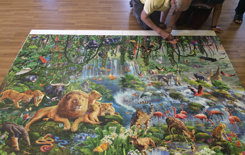 Joining the sections of the jigsaw