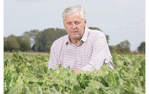 Poul Hovesen