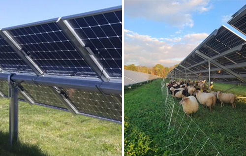 Photos: Albanwise Synergy