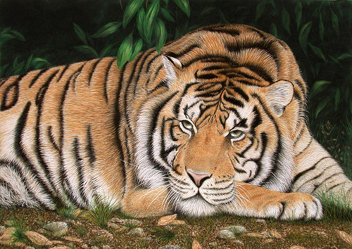 Respite by Phil Daniels