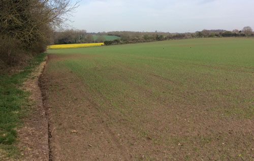 Photos: Richard Taylor