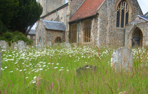 Reepham churchyard conservation area with St Michael's in the background. Photo: Rachel Richmond